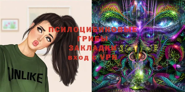 бошки Белокуриха