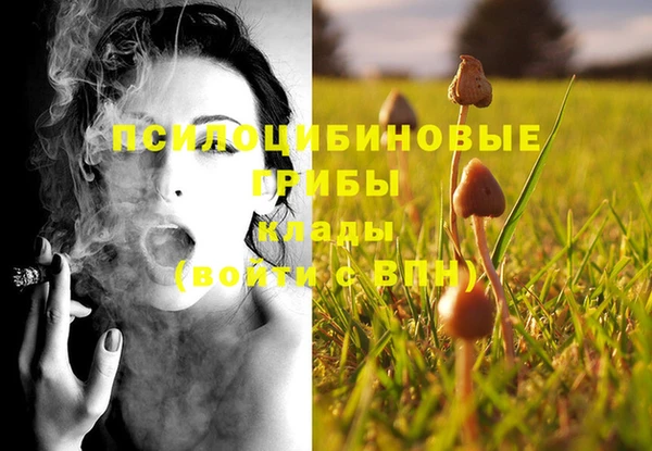 молекула духа Беломорск