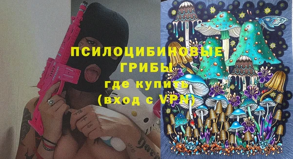 молекула духа Беломорск