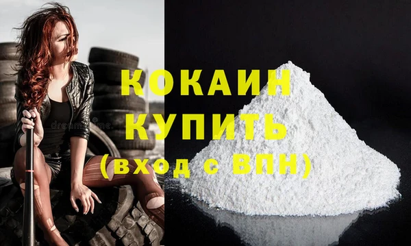 бошки Белокуриха