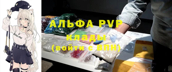 бошки Белокуриха